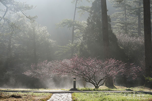 武陵農場武陵農場
