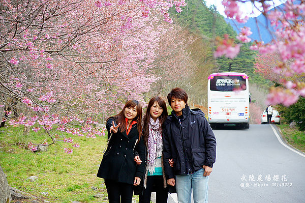 2014武陵 2014武陵