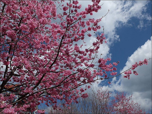 11021167_884676504908322_382418562087989370_n