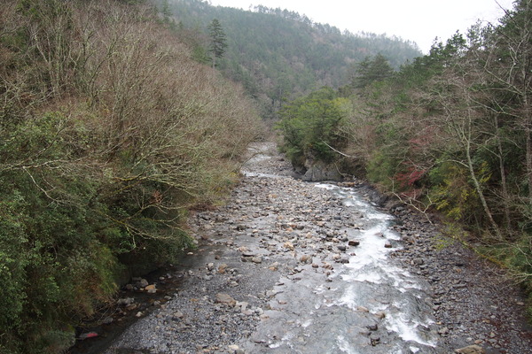 武陵農場(Wuling Farm)：武陵農場・2016年櫻花季