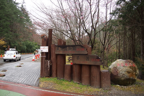 武陵農場(Wuling Farm)：武陵農場・2016年櫻花季