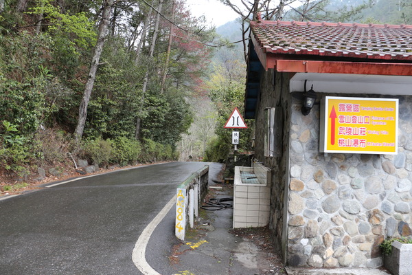 武陵農場(Wuling Farm)：武陵農場・2016年櫻花季