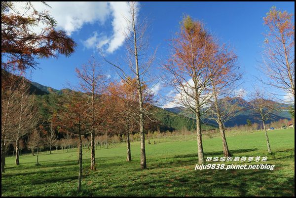 武陵農場157.JPG