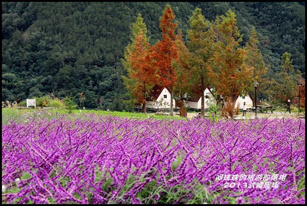 武陵農場7.JPG