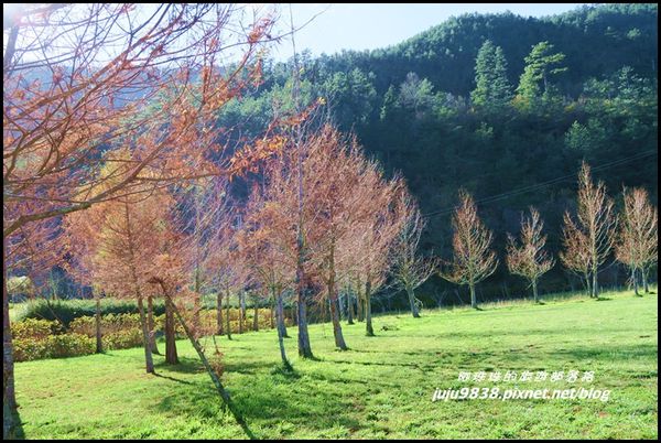 武陵農場162.JPG