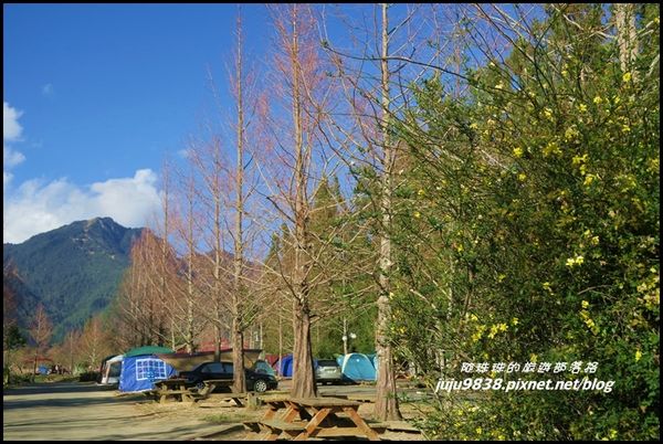 武陵農場173.JPG