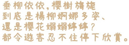 武陵農場(Wuling Farm)：【雪霸◍•ᴗ•◍國家公園】賞花・武陵農場櫻花季✯2015年2/23紅粉佳人花況九成｜嬌柔的粉色浪漫