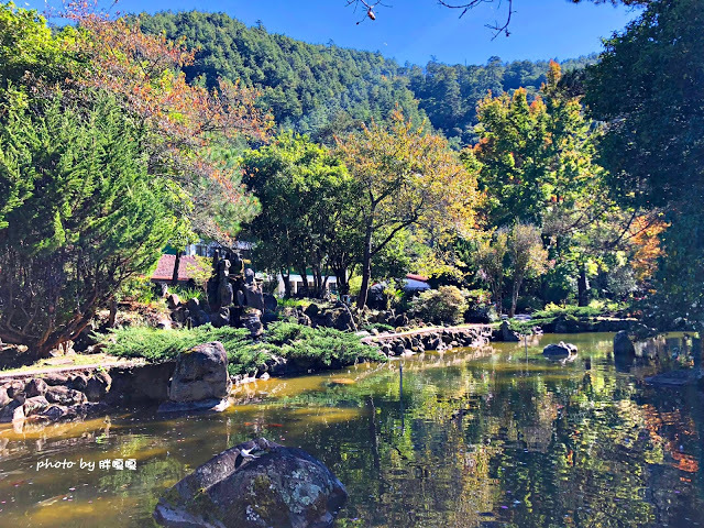 【台中 和平】武陵農場Wuling Farm ✨✨✨園區內的銀杏是耀眼的金黃，猶如一把把小金扇，扇出秋天的風采，更有芳香萬壽菊及大片鼠尾草相襯，不讓楓葉專美於前，刻畫出不輸給春季百花齊放的景色🌻🌷