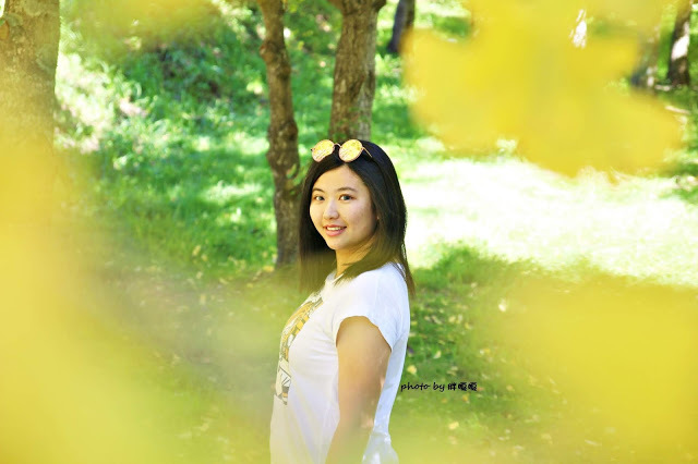 【台中 和平】武陵農場Wuling Farm ✨✨✨園區內的銀杏是耀眼的金黃，猶如一把把小金扇，扇出秋天的風采，更有芳香萬壽菊及大片鼠尾草相襯，不讓楓葉專美於前，刻畫出不輸給春季百花齊放的景色🌻🌷