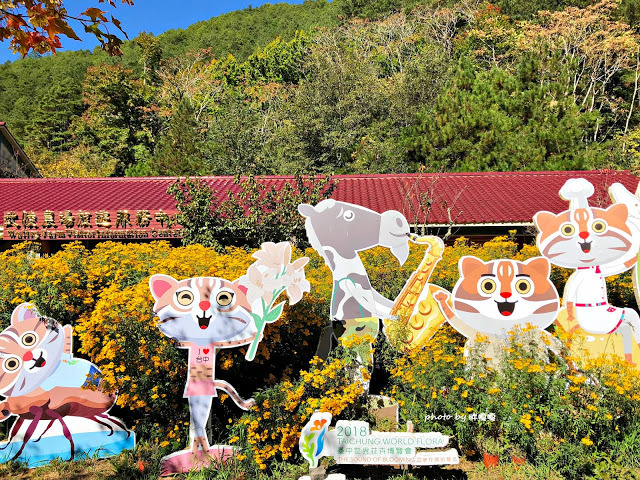 【台中 和平】武陵農場Wuling Farm ✨✨✨園區內的銀杏是耀眼的金黃，猶如一把把小金扇，扇出秋天的風采，更有芳香萬壽菊及大片鼠尾草相襯，不讓楓葉專美於前，刻畫出不輸給春季百花齊放的景色🌻🌷