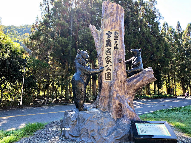 【台中 和平】武陵農場Wuling Farm ✨✨✨園區內的銀杏是耀眼的金黃，猶如一把把小金扇，扇出秋天的風采，更有芳香萬壽菊及大片鼠尾草相襯，不讓楓葉專美於前，刻畫出不輸給春季百花齊放的景色🌻🌷