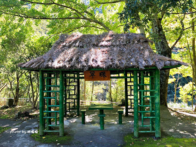 【台中 和平】武陵農場Wuling Farm ✨✨✨園區內的銀杏是耀眼的金黃，猶如一把把小金扇，扇出秋天的風采，更有芳香萬壽菊及大片鼠尾草相襯，不讓楓葉專美於前，刻畫出不輸給春季百花齊放的景色🌻🌷