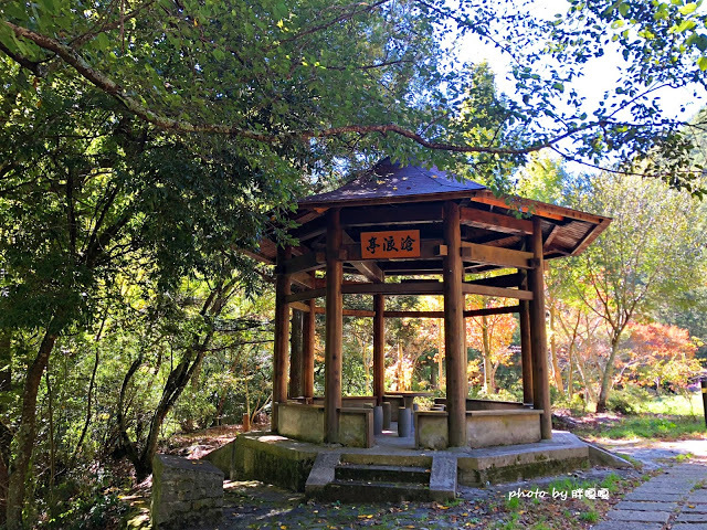 【台中 和平】武陵農場Wuling Farm ✨✨✨園區內的銀杏是耀眼的金黃，猶如一把把小金扇，扇出秋天的風采，更有芳香萬壽菊及大片鼠尾草相襯，不讓楓葉專美於前，刻畫出不輸給春季百花齊放的景色🌻🌷