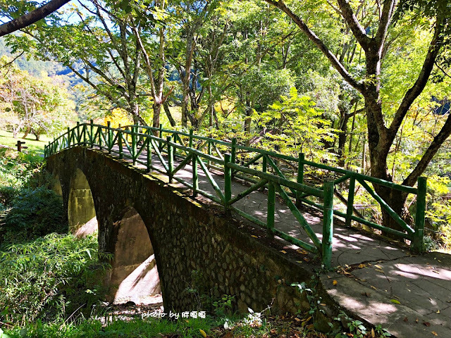 【台中 和平】武陵農場Wuling Farm ✨✨✨園區內的銀杏是耀眼的金黃，猶如一把把小金扇，扇出秋天的風采，更有芳香萬壽菊及大片鼠尾草相襯，不讓楓葉專美於前，刻畫出不輸給春季百花齊放的景色🌻🌷