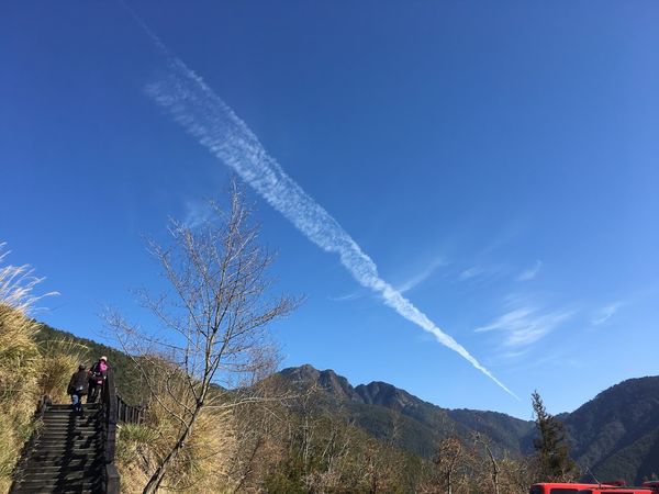 武陵農場(Wuling Farm)：✡*台中市-和平區/武陵農場-賞櫻