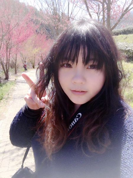 武陵農場(Wuling Farm)：✡*台中市-和平區/武陵農場-賞櫻