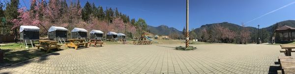 武陵農場(Wuling Farm)：✡*台中市-和平區/武陵農場-賞櫻