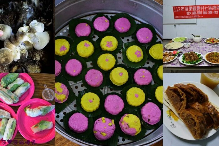 楠西景點│沁涼芒果冰咖啡「行動城堡二館－幸福芒果冰」豐盛水果餐「果農之家」國宴果乾伴手禮「玉井之門」