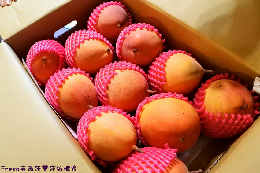 楠西景點│沁涼芒果冰咖啡「行動城堡二館－幸福芒果冰」豐盛水果餐「果農之家」國宴果乾伴手禮「玉井之門」