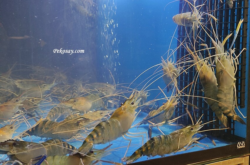 MK燒烤店.蘆洲美食.蘆洲宵夜.蘆洲居酒屋.蘆洲熱炒.蘆洲泰國蝦.蘆洲MK串燒.MK燒烤菜單.