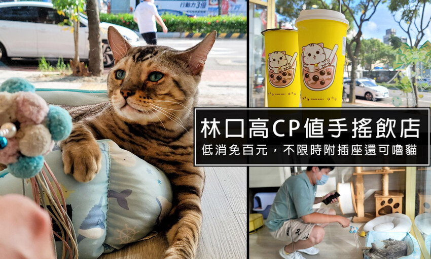 永和個人燒烤推薦!BEER KING全台首創月付399元就能天天啤酒喝到飽!近捷運頂溪站，肉質不差永和宵夜新選擇