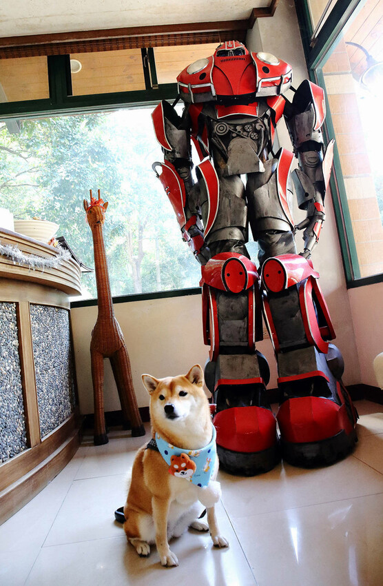 苗栗南庄景觀餐廳，南庄好山好水好人情品嘗鱒魚三吃，物超所值3