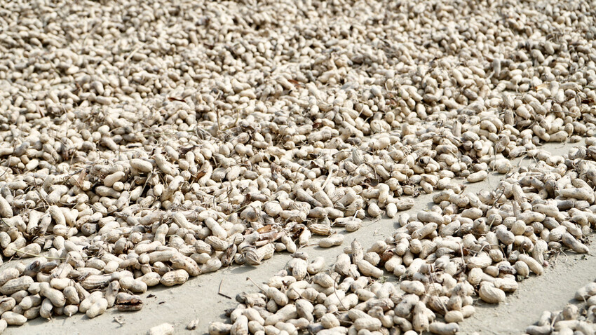 [雲林甜點] 方島R角甜點工作室｜一週只營業3天！超好拍的老宅甜點咖啡廳