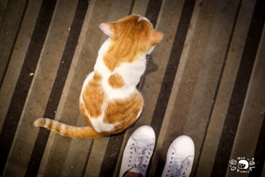 山中隱密不起眼的餐廳，香噴噴桶仔雞超多人，想吃還要預訂，老饕吃過推薦，來去探探路！