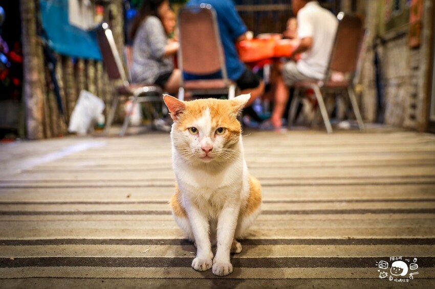 山中隱密不起眼的餐廳，香噴噴桶仔雞超多人，想吃還要預訂，老饕吃過推薦，來去探探路！