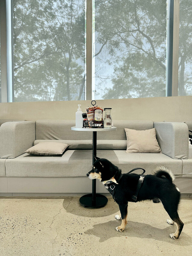 亞東醫院美食推薦，貳樓板橋店，板橋寵物友善餐廳，科技感裝潢，