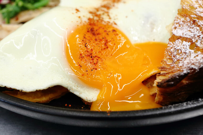 亞東醫院美食推薦，貳樓板橋店，板橋寵物友善餐廳，科技感裝潢，