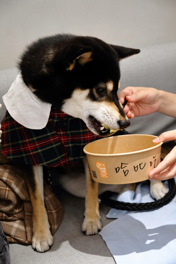 亞東醫院美食推薦，貳樓板橋店，板橋寵物友善餐廳，科技感裝潢，