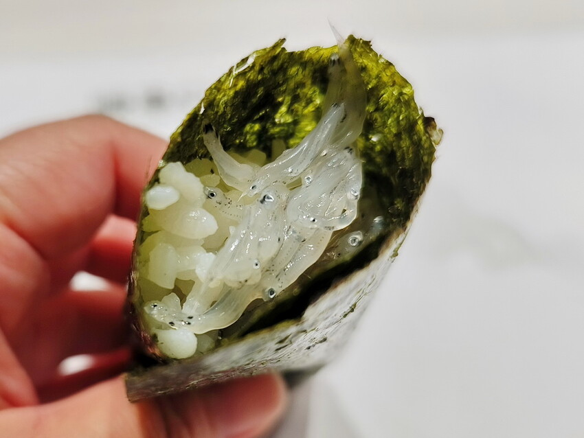 【礁溪無菜單料理推薦】順惠日海，Omakasa握壽司套餐，平日午餐限定超優惠套餐