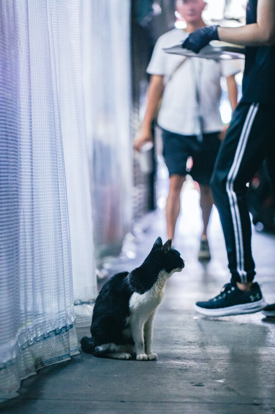 鳳山兵仔市無名魚皮湯，在地人狂推美味秘境。