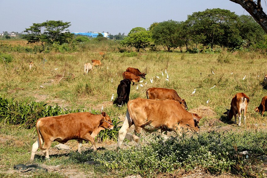 家是愛之窩民宿 2天一夜屏東潮州輕旅行包棟民宿推薦/家庭旅遊聚會/高cp值平價民宿