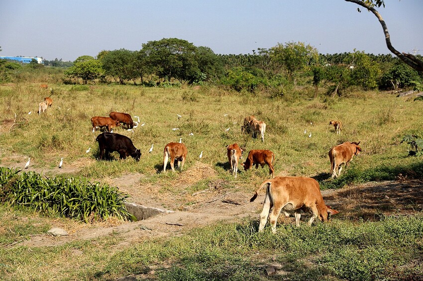 家是愛之窩民宿 2天一夜屏東潮州輕旅行包棟民宿推薦/家庭旅遊聚會/高cp值平價民宿