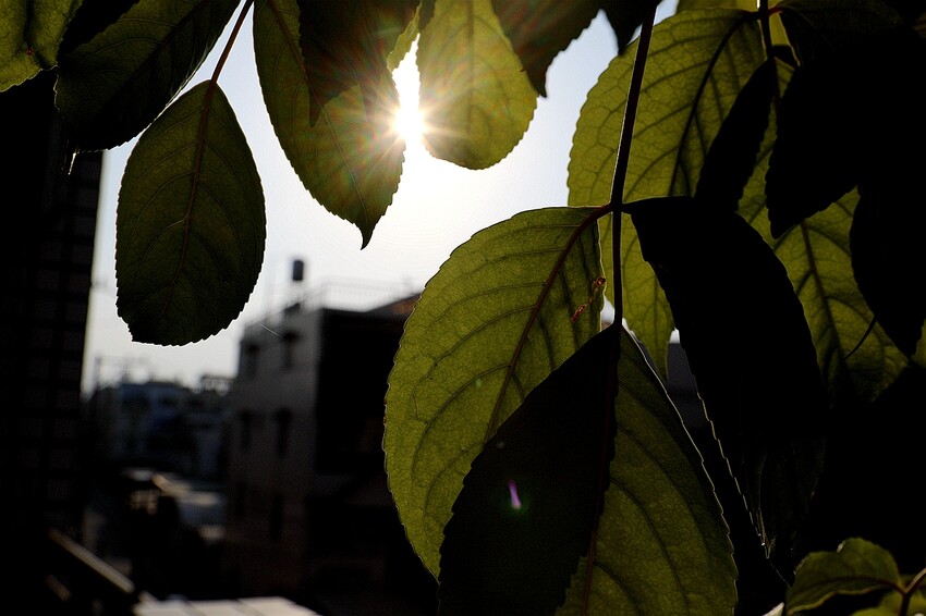 家是愛之窩民宿 2天一夜屏東潮州輕旅行包棟民宿推薦/家庭旅遊聚會/高cp值平價民宿