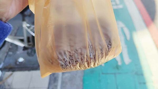 致理飯糰｜致理最強飯糰，好吃又便宜絕對值得推薦