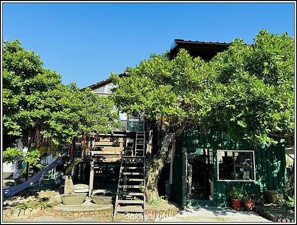 新北萬里 ‧ 樹下食光(童趣樹屋咖啡廳/簡餐/咖啡/甜點)