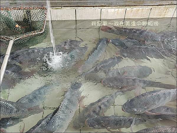 美濃中興粄條03.jpg 美濃中興粄條03.jpg