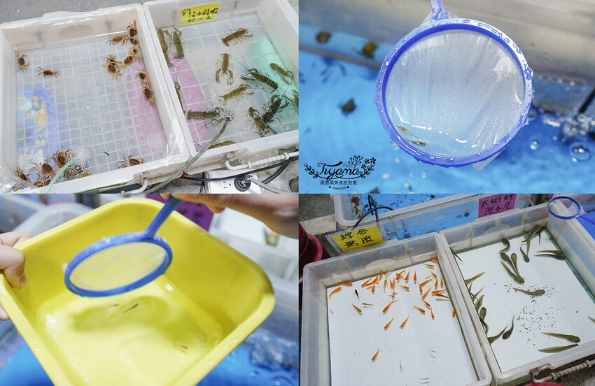 大益夜市：台南夜市4567來大益，南紡斜對面的好吃好玩的台南新夜市！！ @緹雅瑪 美食旅遊趣