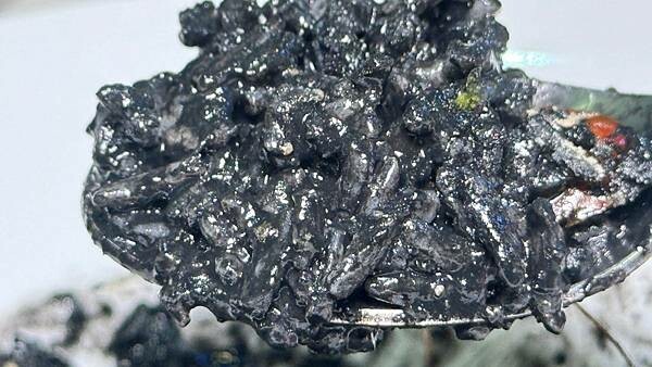 義麵｜燉飯｜手開披薩pizza｜開胃菜 | 焗烤｜親子家庭｜