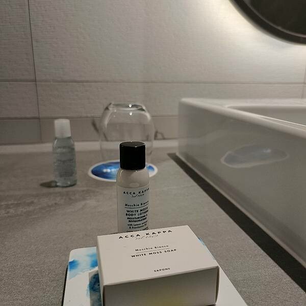 南投縣魚池鄉(南投/魚池)日月潭力麗溫德姆酒店，來場一泊二食的悠然之旅