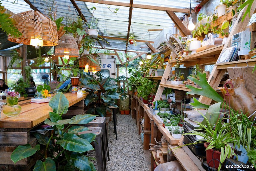 桃園龍潭「 茉莉花園caf’e」,被滿滿植栽包圍的祕密花園,