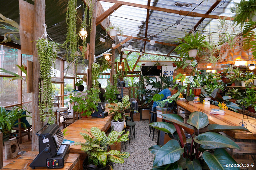 桃園龍潭「 茉莉花園caf’e」,被滿滿植栽包圍的祕密花園,