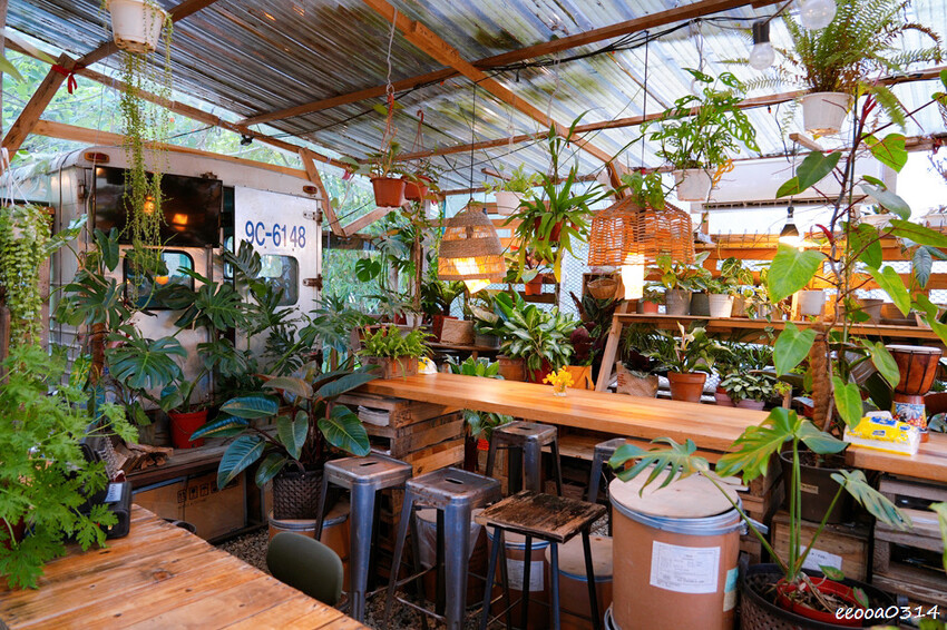 桃園龍潭「 茉莉花園caf’e」,被滿滿植栽包圍的祕密花園,