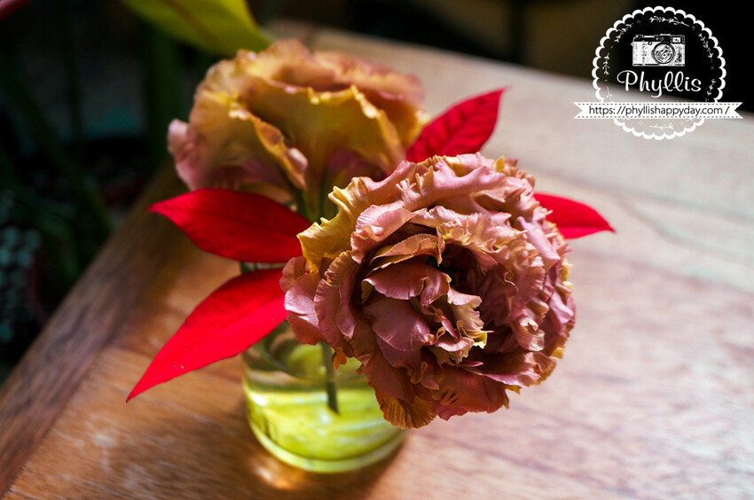 走進『茉莉花園cafe』與森林共舞的美味甜點與咖啡饗宴｜龍潭森林系咖啡廳｜桃園咖啡廳｜龍潭私房景點｜龍潭景觀餐廳 - 相片中的菲莉絲