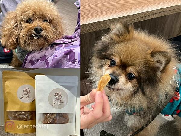 (萬華美食)拾士~手打牛漢堡排、香煎彈牙雞腿、濃郁香料咖哩、