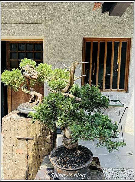 捷運大橋頭站‧裏 Ura.219