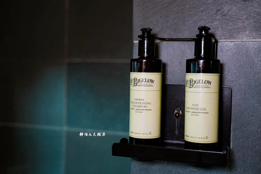 宜蘭礁溪福朋喜來登酒店，烤鴨五吃、無邊際泳池、兒童遊戲室，免